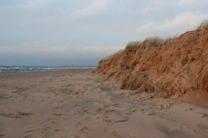 IMG_2312
